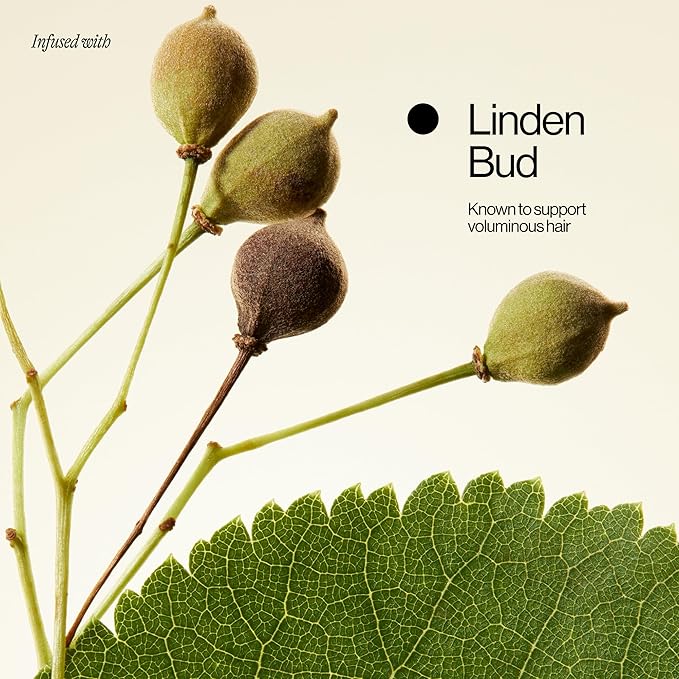 Eva NYC Lift Off Volumizing Shampoo, 10 fl oz